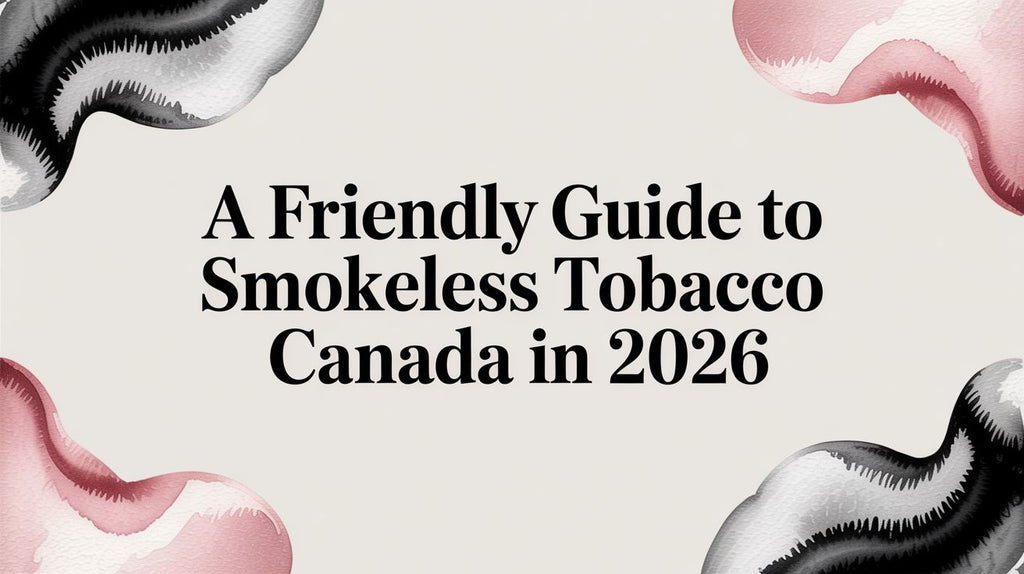 A Friendly Guide To Smokeless Tobacco Canada In 2026