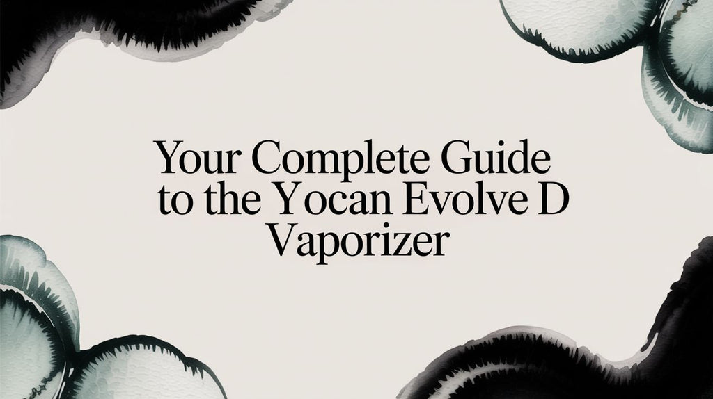 Your Complete Guide to the Yocan Evolve D Vaporizer